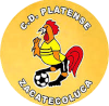 https://img.agconcrete.com/img/football/team/63b0933cc303927659846a4ed54b1522.png